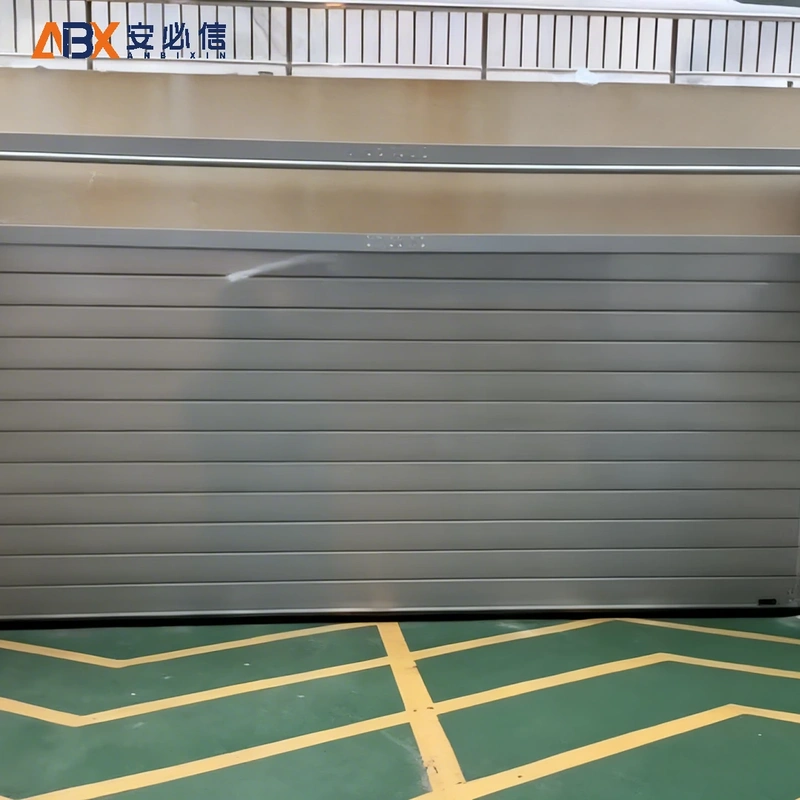阿拉善感应高速门